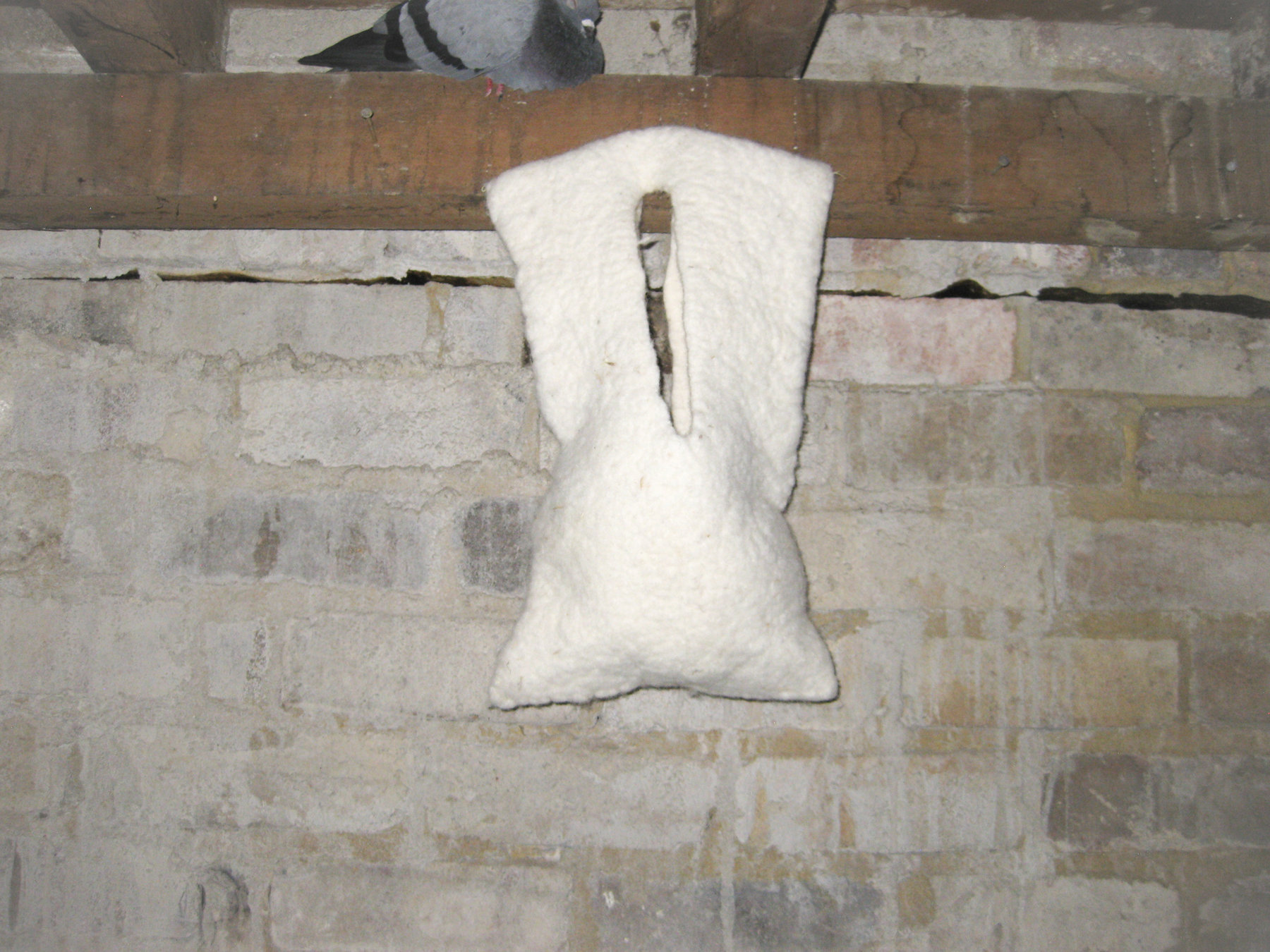 Exhibitions