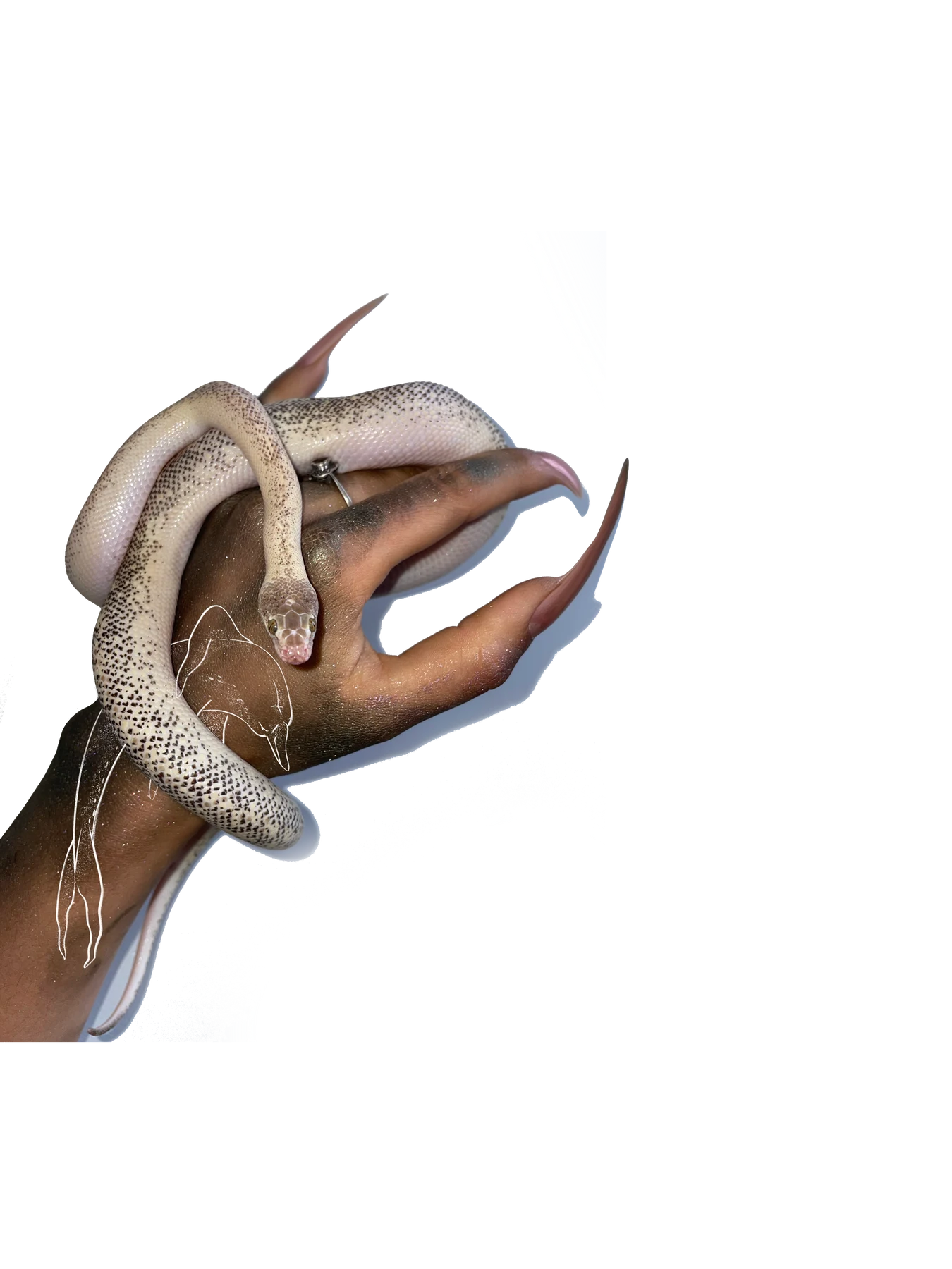 Digital Drawing Gallery